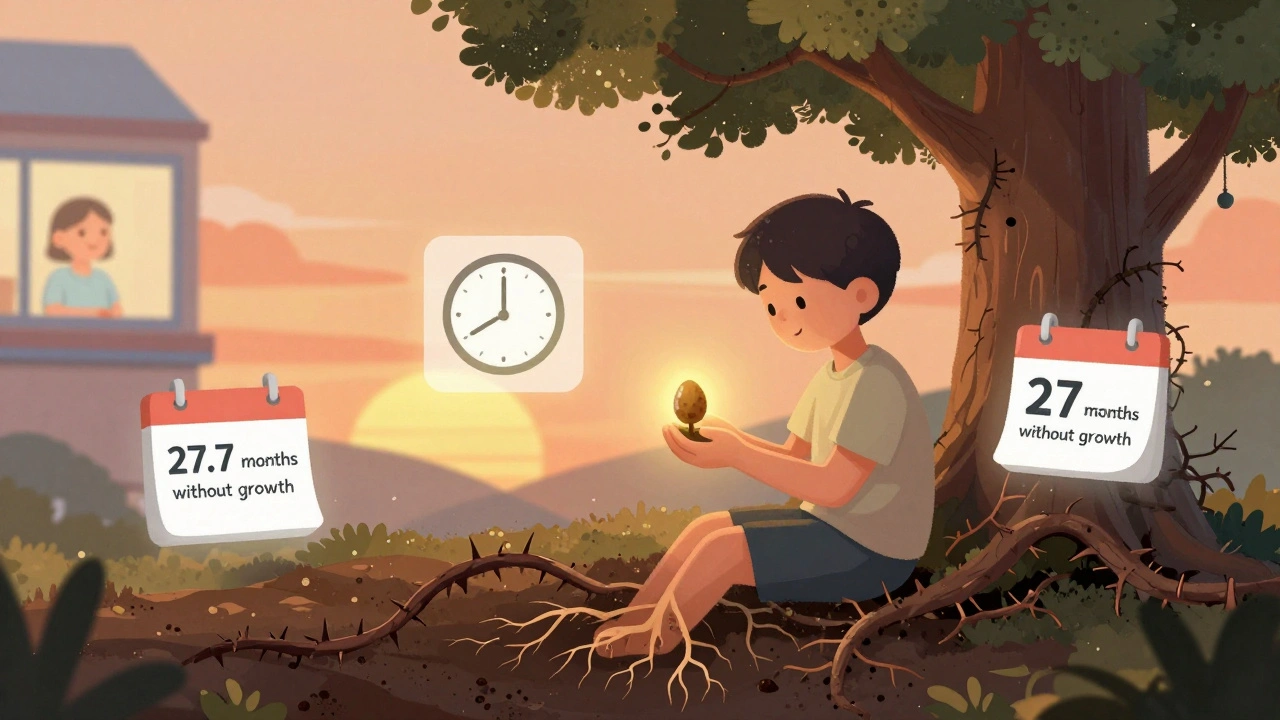 A patient holding a glowing seed that blocks tumor vines, with floating timelines showing extended survival in a warm sunset setting.
