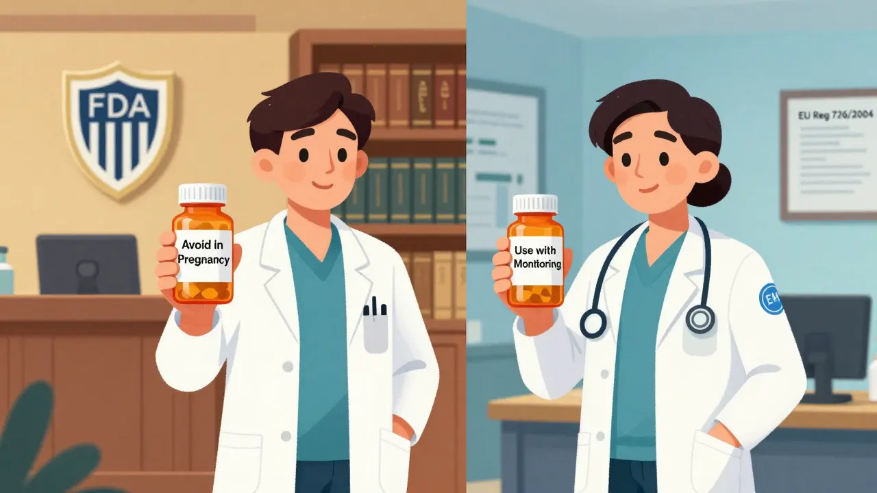 EMA vs FDA Drug Labeling: Key International Differences That Impact Global Drug Access