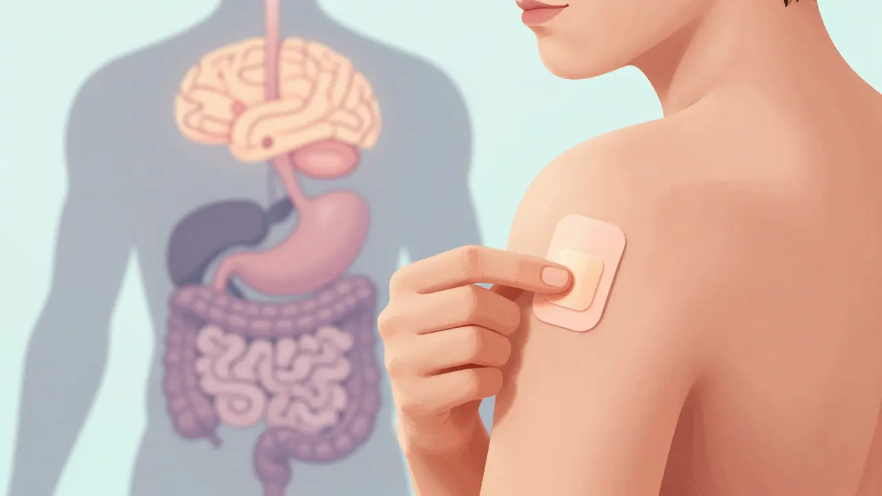 Selegiline Transdermal and Serotonergic Drugs: Complete Interaction Guide