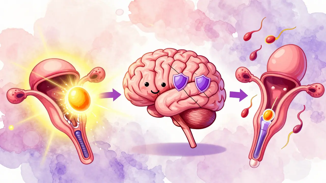 Illustration of a brain blocking receptors to stimulate egg and sperm production in a colorful style